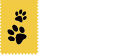 Главная