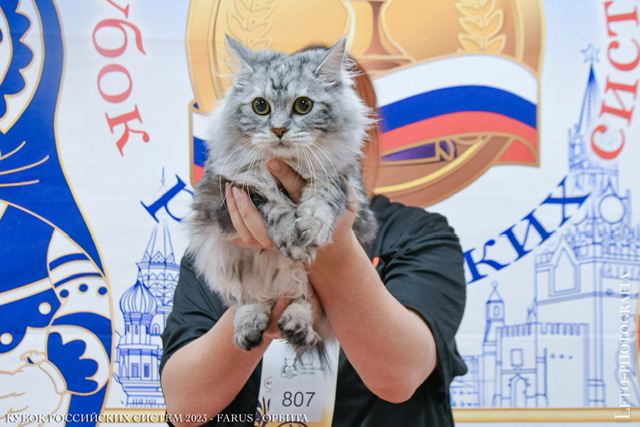 ФАРУС 4-5 11